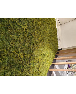 Un intérieur luxueux avec un mur végétal vertical de Kunsthaag Nordic Moss 50x50 cm UV, luxuriant à côté d'un piège en bois moderne. L'image en angle met en valeur le texte riche de la mousse et une partie d'une porte au-dessus.