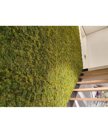 Un intérieur luxueux avec un mur végétal vertical de Kunsthaag Nordic Moss 50x50 cm UV, luxuriant à côté d'un piège en bois moderne. L'image en angle met en valeur le texte riche de la mousse et une partie d'une porte au-dessus.