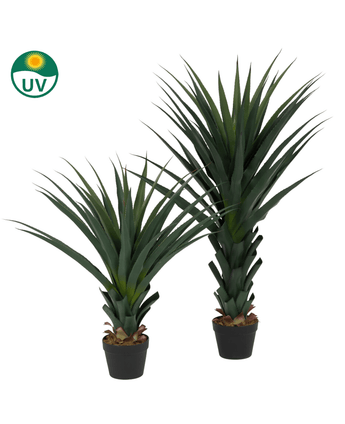 La plante artificielle Agava Pandora UV 85 cm contient deux plantes d'agave artificielles aux feuilles épineuses vert foncé dans un pot noir. Dans le coin supérieur gauche se trouve une icône de protection UV sur fond blanc.