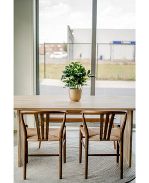Une table en bois avec deux chaises assorties se dresse sur un tapis rond près de grandes fenêtres. Une Plante Artificielle Baby Schefflera UV 45 cm décore la table, avec vue sur les bâtiments et une clôture à l'extérieur.