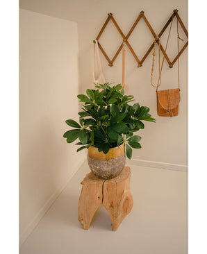 Une plante artificielle Baby Schefflera UV 45 cm repose sur un tabouret en bois rustique dans une pièce minimaliste. Derrière, est suspendu un support mural en bois avec deux sacs en toile et un petit sac en cuir marron.