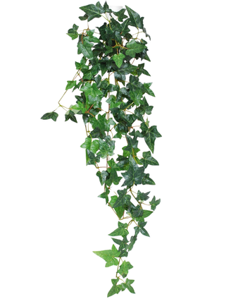 La plante artificielle suspendue Ivy Boston 100 cm vert possède des feuilles de lierre vertes pointues sur de fines tiges qui tombent sur un fond blanc.
