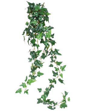 La plante artificielle suspendue Ivy Boston est une plante grimpante verte de 120 cm de long avec des feuilles de lierre brillantes, parfaite pour ajouter de la verdure sur un fond blanc.