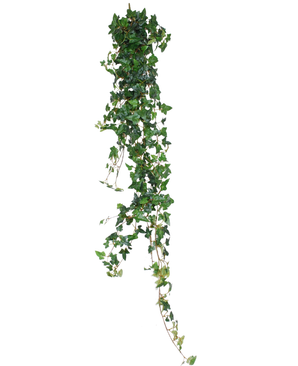 La plante artificielle suspendue Lierre Boston 180 cm vert a de longues feuilles pendantes en forme de cœur vertes qui se détachent magnifiquement sur un fond blanc.