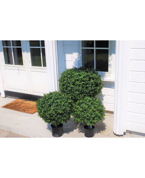 Trois buis artificiels sur tige de style romain UV 65 cm en pots se trouvent sur une véranda devant une maison blanche avec de grandes fenêtres et une porte avec un tapis de bienvenue.