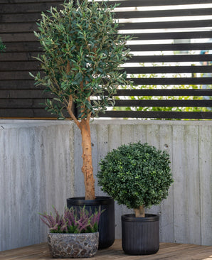 Une grande plante de buis artificiel sur tige de style romain UV 65 cm se dresse avec deux autres plantes en pot - un arbuste rond dans un pot noir et de la bruyère violette dans un petit pot en pierre - sur une terrasse près d'un mur de béton et d'une clôture à lattes de bois.