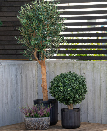 Une grande plante de buis artificiel sur tige de style romain UV 65 cm se dresse avec deux autres plantes en pot - un arbuste rond dans un pot noir et de la bruyère violette dans un petit pot en pierre - sur une terrasse près d'un mur de béton et d'une clôture à lattes de bois.