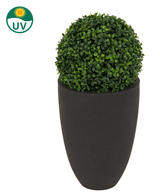 Plante artificielle Buis style Romain UV D30cm : une forme d'art ronde dans une jardinière haute noire, avec protection UV (symbole en haut à gauche).