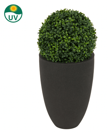 Plante artificielle Buis style Romain UV D30cm : une forme d'art ronde dans une jardinière haute noire, avec protection UV (symbole en haut à gauche).