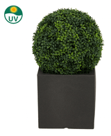La Plante Artificielle Buis Style Romain UV D40cm est une forme d'art ronde avec des feuilles vertes denses dans un cache-pot carré noir. Dans le coin supérieur gauche se trouve un symbole de protection UV avec un soleil et le texte « UV ».