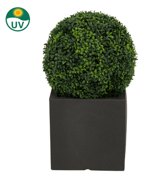 La Plante Artificielle Buis Style Romain UV D40cm est une forme d'art ronde avec des feuilles vertes denses dans un cache-pot carré noir. Dans le coin supérieur gauche se trouve un symbole de protection UV avec un soleil et le texte « UV ».