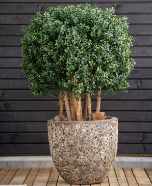 Le Buis Artificiel Boule Bois Style Romain UV 90 cm, une plante verte à feuilles rondes aux tiges épaisses, se dresse dans un grand pot en pierre sur bois, contre un mur horizontal sombre avec des panneaux de bois.