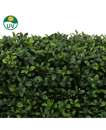 La Haie de Buis Artificiel UV 70x20x50 cm est une haie verte artificielle dense avec de petites feuilles brillantes. Un symbole de protection UV en haut à gauche indique qu'il résiste au soleil. Le fond est blanc uni.