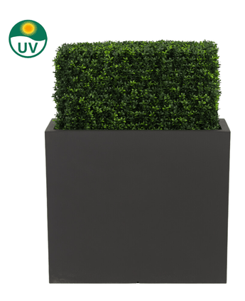 La haie de buis artificiel UV 70x20x50 cm est une haie de buis en plastique vert rectangulaire protégée contre les UV dans un bac haut et noir, représentée sur un fond blanc avec une icône UV qui souligne sa résistance au soleil.