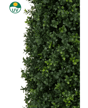 Gros plan de la plante artificielle Buxus Pyramid UV 120 cm montre un feuillage vert dense avec de petites feuilles rondes. Un symbole circulaire de protection UV avec un soleil jaune en haut à gauche souligne la résistance de la plante aux UV sur un fond blanc.