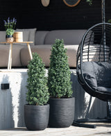 Deux arbres artificiels en forme de pyramide de buis UV de 90 cm se trouvent sur une terrasse près d'un banc extérieur et d'une chaise suspendue ronde en osier avec un coussin noir, tandis qu'une petite table avec une plante est en arrière-plan.