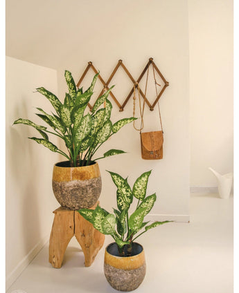 Deux plantes artificielles Dieffenbachia UV 75 cm avec des feuilles colorées sont dans des pots décoratifs jaunes et en pierre - une sur un tabouret en bois, une au sol. Derrière eux, un sac en cuir marron est accroché à un support mural en accordéon en bois dans cet espace lumineux et minimaliste.