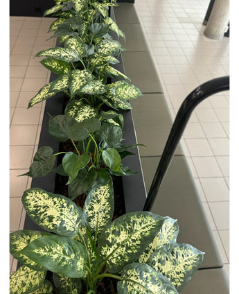 Une plante artificielle Dieffenbachia UV 75 cm avec des feuilles vertes colorées se dresse dans des pots décoratifs élégants à côté d'un sol carrelé et d'un canapé dans un espace intérieur lumineux.