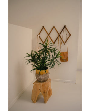 La Plante Artificielle Dracaena Reflexa en pot UV 63 cm décore une pièce minimaliste aux murs blancs, posée sur un tabouret en bois naturel. Une étagère murale en bois à l'arrière accueille un petit sac marron et des tissus crème pour un intérieur tropical.
