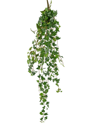 La plante artificielle suspendue Ivy deluxe 120 cm vert a des feuilles vertes pointues et des tiges traînantes, ce qui la fait ressembler à une plante de lierre suspendue. Le lierre artificiel est isolé sur fond blanc.
