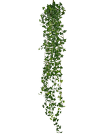 De Kunst hangplant Klimop deluxe 180 cm groen heeft een lange streng groene klimop met veel kleine, puntige blaadjes die naar beneden vallen, perfect als decoratie tegen een witte achtergrond.