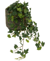 Le Lierre Artificiel Deluxe Vert 60 cm présente des feuilles de lierre lobées d'un vert luxuriant, brillantes, en cascade sur un pot décoratif à motifs, sur un fond blanc.