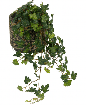 Le Lierre Artificiel Deluxe Vert 60 cm présente des feuilles de lierre lobées d'un vert luxuriant, brillantes, en cascade sur un pot décoratif à motifs, sur un fond blanc.