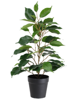 La Plante Artificielle Ficus en Pot 40 cm est une grande plante artificielle en pot avec de multiples branches et de grandes feuilles vertes brillantes, présentée dans un simple pot noir sur fond blanc.