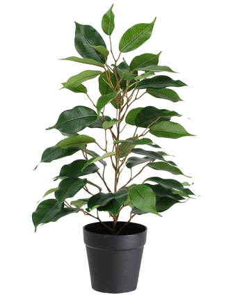 La Plante Artificielle Ficus en Pot 40 cm est une grande plante artificielle en pot avec de multiples branches et de grandes feuilles vertes brillantes, présentée dans un simple pot noir sur fond blanc.