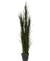 Le gazon artificiel Bordeaux UV 150 cm est composé d'un gazon artificiel haut avec de longues feuilles vertes fines, disposées dans un petit pot noir, représenté sur un fond blanc.