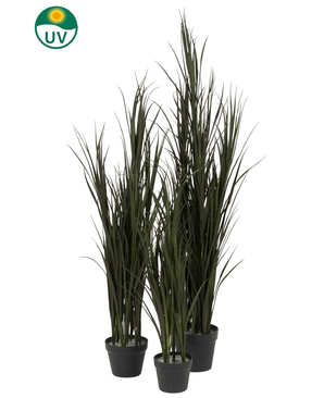 Trois plants de gazon artificiel Bordeaux UV 90 cm en pots noirs sont regroupés, avec un symbole de protection UV dans le coin supérieur gauche pour indiquer qu'ils sont adaptés au soleil. Le fond est blanc uni.