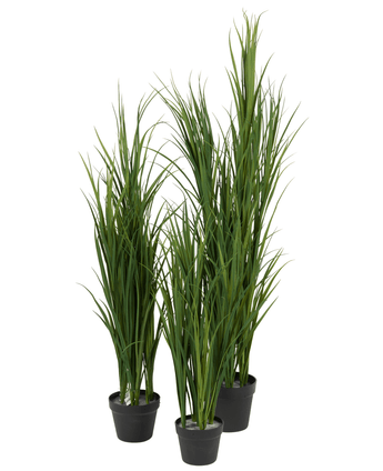 Quatre plants de gazon artificiel UV vert gazon artificiel dans un pot de 120 cm avec de longues et fines lames vertes sont regroupés sur un fond blanc.