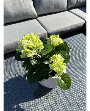 La plante Hortensia Artificiel Vert UV 35 cm aux fleurs vert clair se dresse sur une table d'extérieur en osier gris, devant un canapé gris avec coussins. La lumière du soleil illumine la plante artificielle et projette des ombres sur la table.