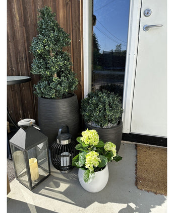 Une plante d'hortensia artificiel vert UV de 35 cm dans un pot blanc avec des fleurs jaune-vert se dresse sur la véranda près d'une porte marron, à côté de deux plantes dans un pot noir et de deux lanternes décoratives avec des bougies.
