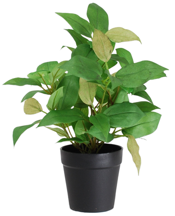 La plante artificielle "House Wanderer" en pot de 25 cm présente des feuilles vertes et jaune clair dans un simple pot noir, sur fond blanc.