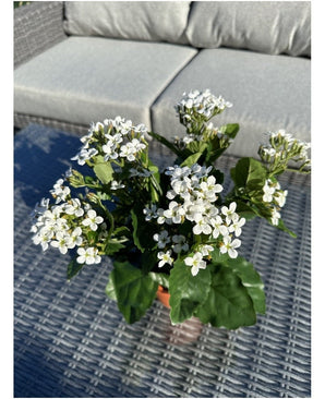 De Kunstbloem Kalanchoë plant UV 31 cm groot, met trosjes kleine witte bloemen en groene bladeren, staat op een rieten buitentafel met een grijze sofa met kussens op de achtergrond.