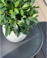 La plante Laurier Artificiel UV d33 cm, une plante artificielle feuillue verte dans un pot blanc, se dresse sur une table ronde gris foncé, avec une lumière naturelle qui crée des ombres douces.
