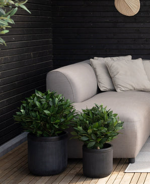 Deux plantes en pot de Laurier Artificiel UV d40 cm se dressent sur un plancher en bois à côté d'un canapé gris clair avec des coussins assortis contre un mur en bois noir dans un cadre extérieur confortable.