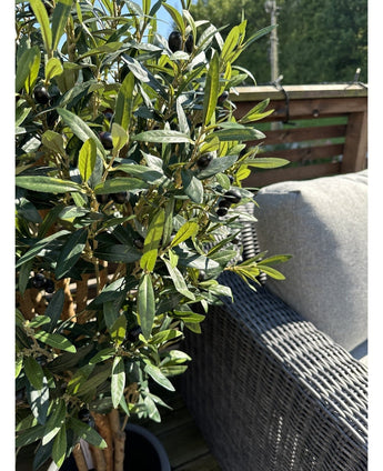 L'Olivier artificiel UV 120 cm aux feuilles vertes et olives noires se dresse à côté d'un canapé d'extérieur en osier gris sur une terrasse ensoleillée avec balustrade en bois.