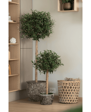 Deux oliviers artificiels UV 150 cm dans un pot au feuillage vert rond côtoient un panier tressé et une étagère en bois dans un intérieur clair et moderne.