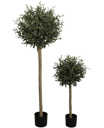 L'Olivier artificiel UV 150 cm est un olivier artificiel en pot avec une cime ronde feuillue verte et un tronc long et fin. Résistant aux UV et présenté dans un pot noir, il se détache sur un fond blanc uni.