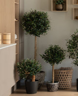 Une plante d'olivier artificielle UV de 60 cm avec un sommet rond et feuillu ajoute de la verdure sans entretien à une pièce moderne et minimaliste, placée près d'étagères en bois et de paniers en osier.