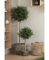 Twee onderhoudsvriendelijke Kunst olijfbomen UV 85 cm met slanke stammen staan naast elkaar op een houten vloer naast een gevlochten mand en houten planken in een modern, minimalistisch interieur.