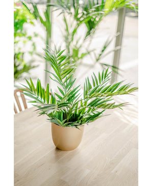 Un salon de palmiers artificiels UV 60 cm repose sur une table en bois clair, la lumière du soleil pénètre à travers les grandes fenêtres tandis que d'autres plantes artificielles apparaissent doucement et vaguement en arrière-plan.