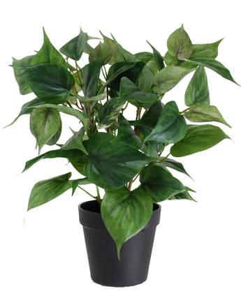 La Plante Artificielle Philodendron en pot 35 cm présente une plante d'intérieur verte en pot avec des feuilles en forme de coeur dans un simple pot en plastique noir, isolée sur fond blanc.