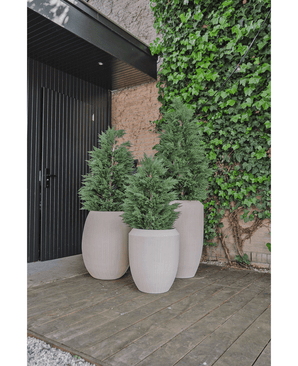 Trois grandes jardinières beiges avec des arbustes de conifères artificiels de luxe UV de 120 cm se dressent sur une terrasse en bois près d'une porte noire et d'un mur recouvert de lierre et offrent une protection UV pour une beauté durable dans votre jardin de plantes artificielles.