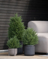Trois arbustes artificiels de conifères artificiels de luxe UV de 60 cm se dressent sur une terrasse en bois près d'un banc extérieur gris clair et d'un mur en bois foncé - parfaits pour créer un jardin vert avec des plantes artificielles nécessitant peu d'entretien à l'extérieur.