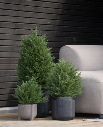 Trois arbustes artificiels de conifères artificiels de luxe UV de 60 cm se dressent sur une terrasse en bois près d'un banc extérieur gris clair et d'un mur en bois foncé - parfaits pour créer un jardin vert avec des plantes artificielles nécessitant peu d'entretien à l'extérieur.