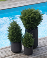 Trois plantes artificielles Conifer deluxe UV 60 cm dans des jardinières nervurées noires apportent de la verdure à votre terrasse en bois au bord de la piscine bleue - idéales pour un jardin vert avec des plantes artificielles élégantes et résistantes aux intempéries à l'extérieur.