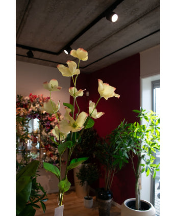 Een enkele Kunstkornoelje Real Touch Lichtgeel 74cm steel met lichtgele bloemblaadjes en roze uiteinden staat in een lichte kamer, omringd door groene potplanten en bloemstukken bij een rood-witte muur.